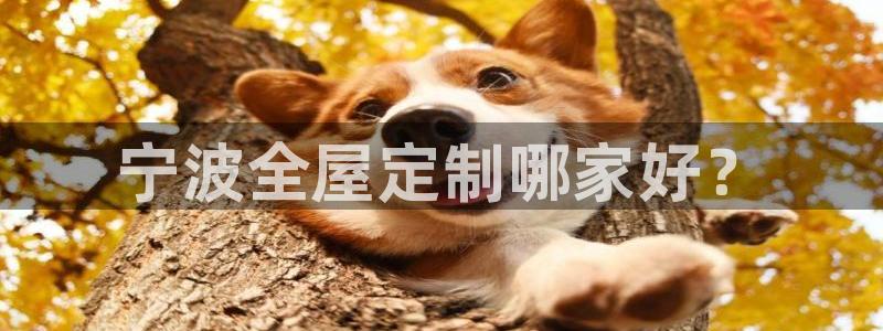 bb电子是怎么控制玩家输赢的