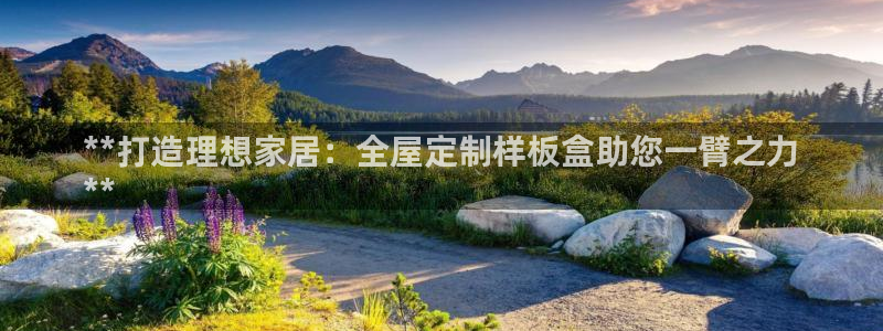 bb电子哪个平台好一点