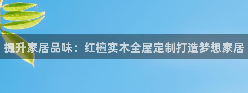 bb电子哪个平台好用一点
