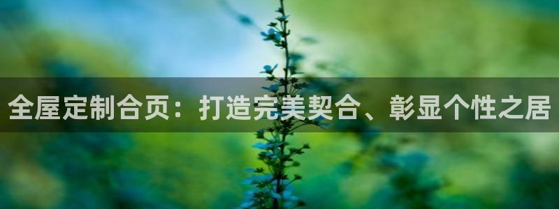 bb电子哪个平台好用