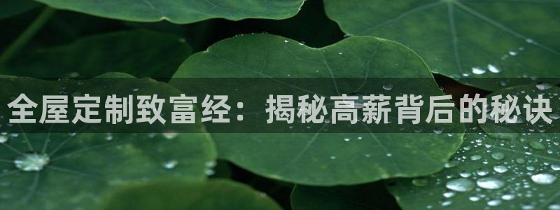 bb电子怎么英语怎么说