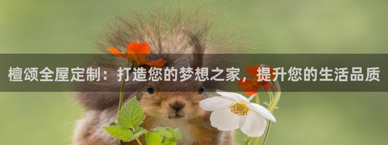 bb电子中了Major怎么算
