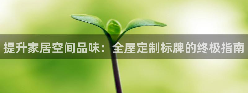 bb电子游戏作弊