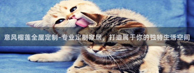 bb电子为什么总赢不了