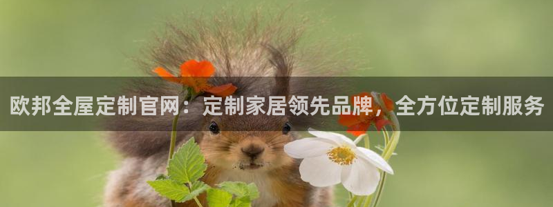 bb电子怎么英语怎么说