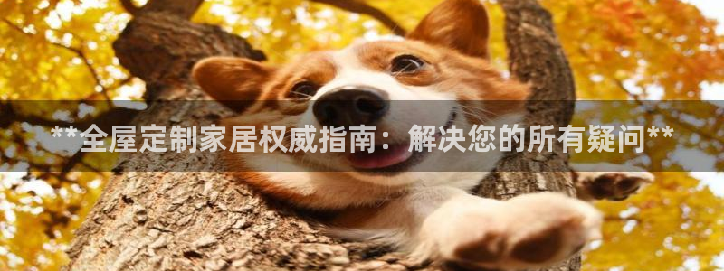 BB电子骗局
