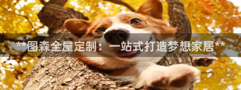 bb电子哪个游戏好赢钱啊