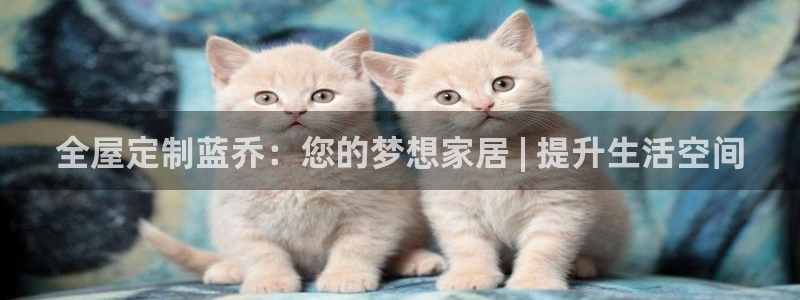 网上bb电子为什么那么假的