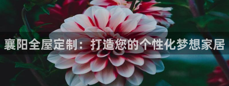 BB电子游戏钱得钱