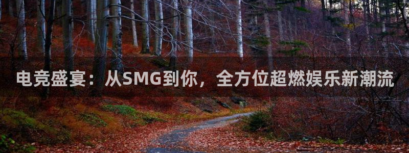 vkgame威客电竞