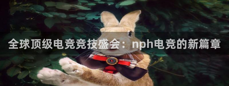 威客电竞·(中国)VKGAMING