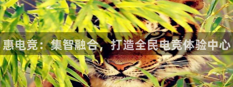 威客电竞集团：惠电竞：集智融合，打造全民电竞体验中心