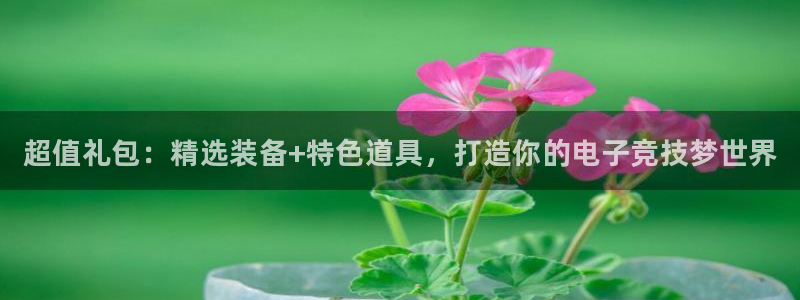 威客电竞VKGAME