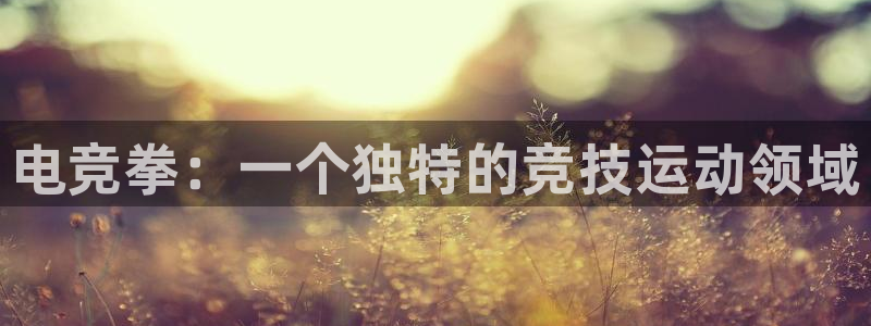 vkgame威客电竞官网