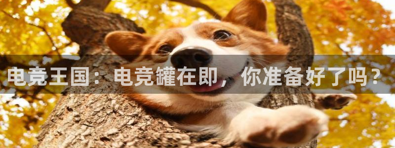 vkgame 威客电竞