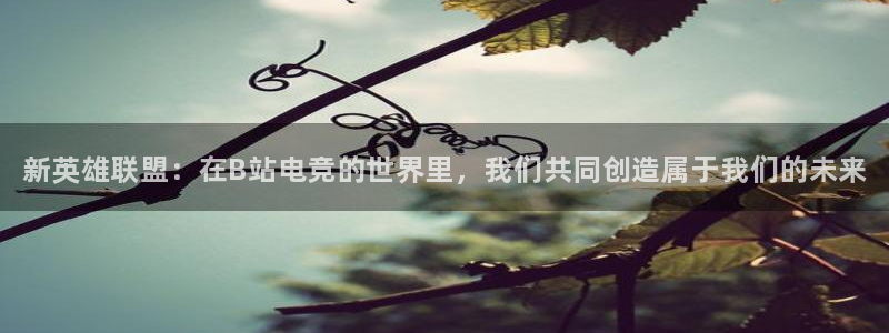 vk威客电竞