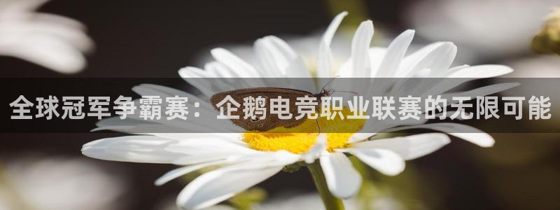 威客电竞vkgame官网