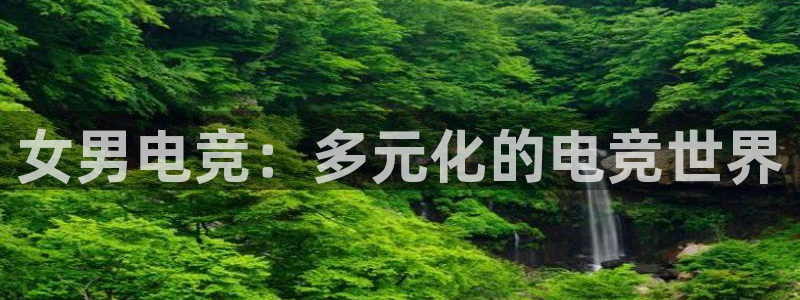 威客电竞 optic