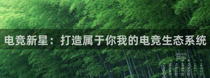 威客电竞vkgame官网