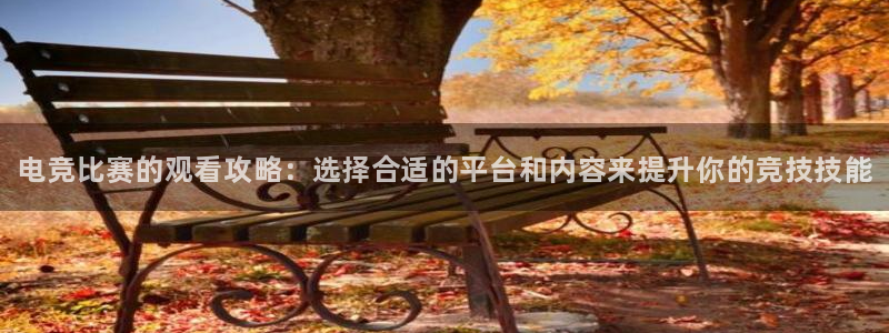 威客电竞客